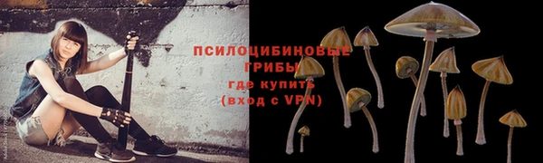 каннабис Баксан