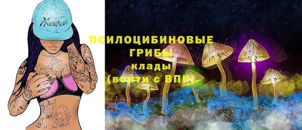 бошки Балахна